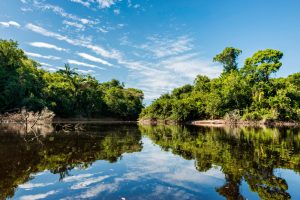 céu azul refletido no rio da Bacia Amazônica