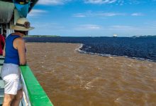 O turista assiste ao encontro do rio Solimões de cor acastanhada e do rio Negro de cor enegrecida.