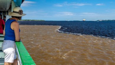 O turista assiste ao encontro do rio Solimões de cor acastanhada e do rio Negro de cor enegrecida.